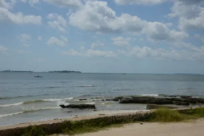 DSC_7632 (Large).JPG